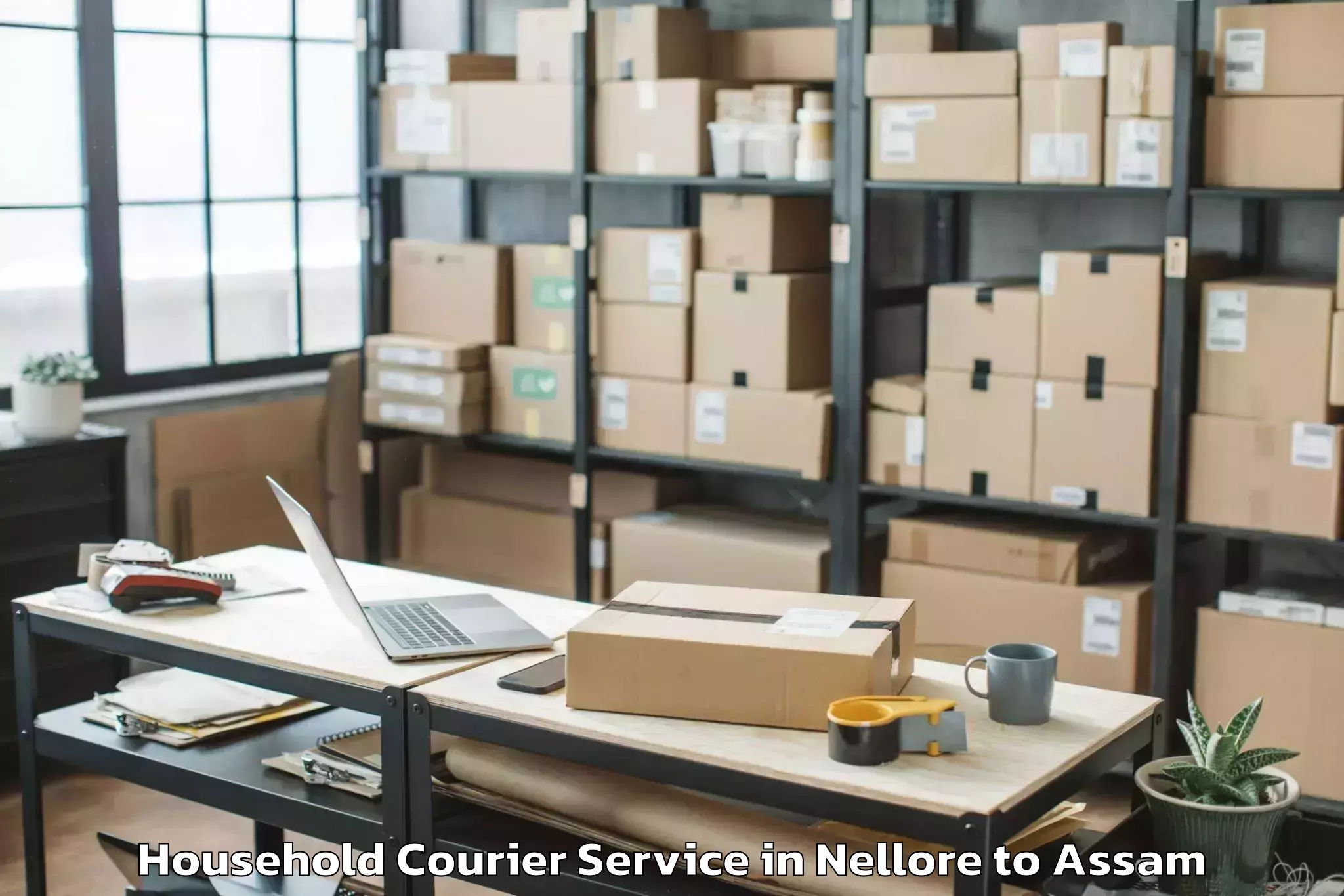 Nellore to Pachim Nalbari Household Courier Booking